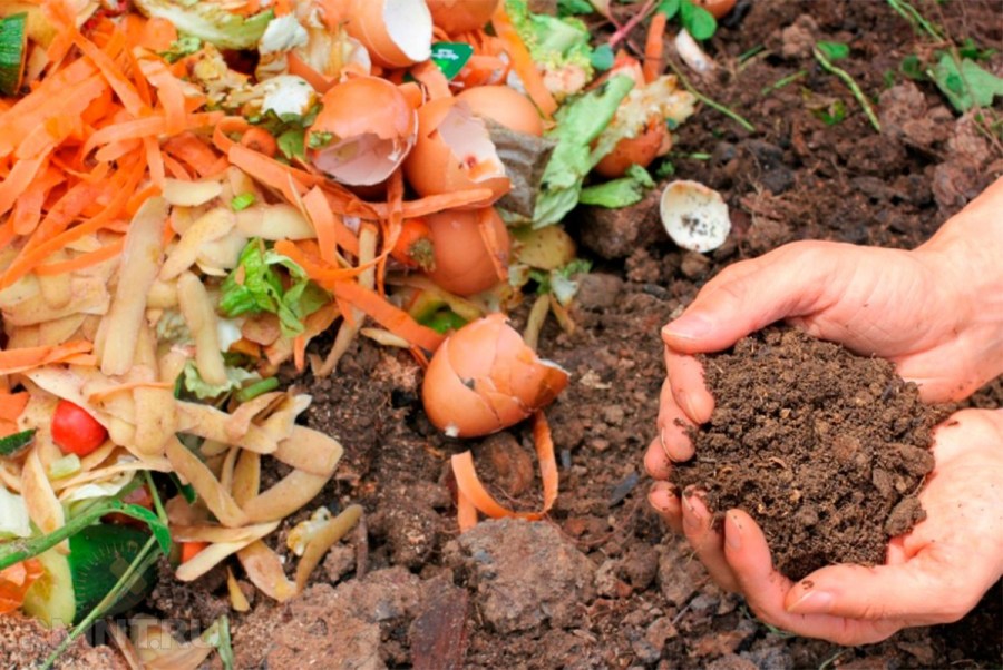 Compost pit: 95 mga larawan at trick para sa paggawa ng isang cesspool